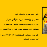 ‎⁨شهید دلووان copy⁩