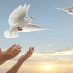 photo_2024-11-17_19-01-34